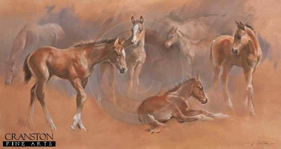 Thoroughbred Foal Study by Jacqueline Stanhope.