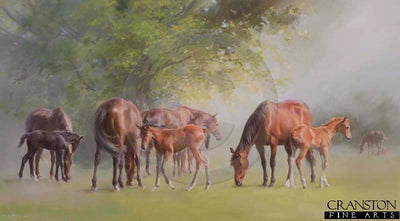 Tranquility by Jacqueline Stanhope.