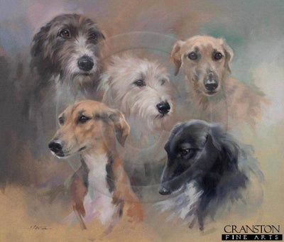 Lurchers by Jacqueline Stanhope.