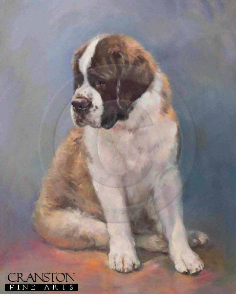 St. Bernard by Jacqueline Stanhope.