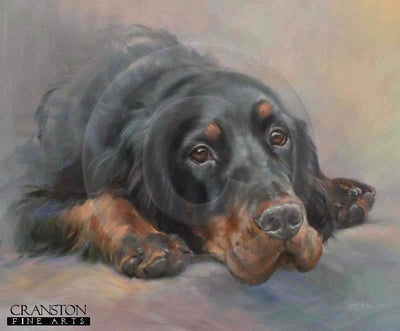 Gordon Setter by Jacqueline Stanhope.