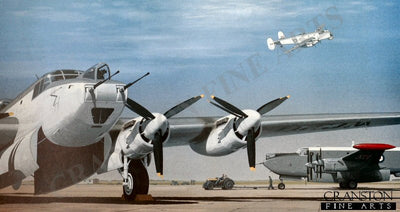 Shackletons by Keith Woodcock.