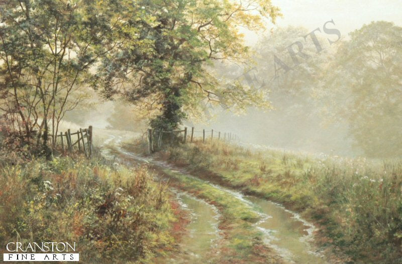 Puddles by David Dipnall.