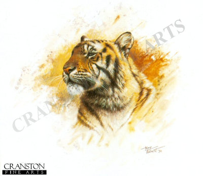 Tiger by Tony Forrest.