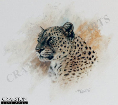 Leopard by Tony Forrest.