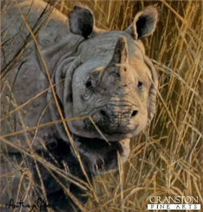 Indian Rhinoceros by Anthony Gibbs.