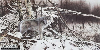 Winter Pause by Geoff Taylor