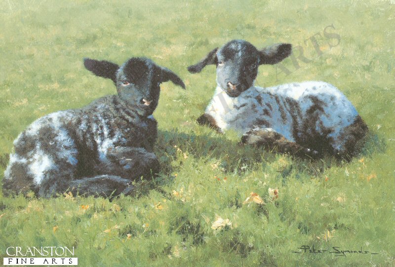 Springtime Arrivals by Peter Symonds.