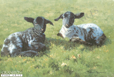 Springtime Arrivals by Peter Symonds.