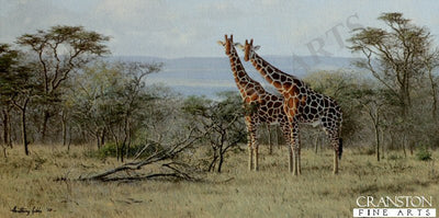 Twos Company by Anthony Gibbs.