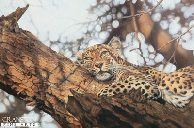 That Time of Day by Lyndsey Selley.