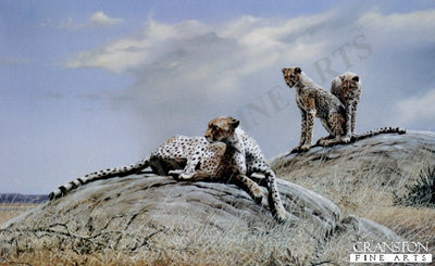 Restful Moment by Spencer Hodge