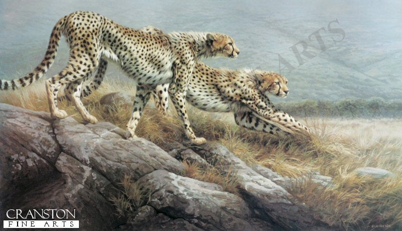 Savannah Patrol by Dick Van Heerde