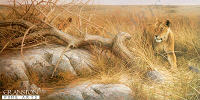 Serengeti Lionesses by Dick Van Heerde