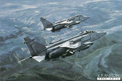 Jaguars Over Bosnia by Michael Rondot.