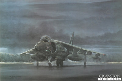 Night Attack by Michael Rondot.