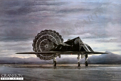Black Jet by Michael Rondot.