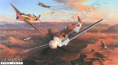 Desert Sharks and Eagles by Nicolas Trudgian. (B)