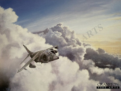Harrier by Colin Walker.