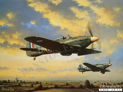 Hurricane MK11C Night Fighters by Barry Price.