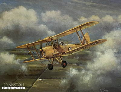 Tiger Moth by Roy Garner.