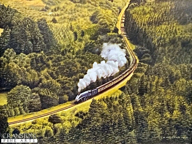 Sir Nigel Gresley N.Y.M.R by Chris Holland