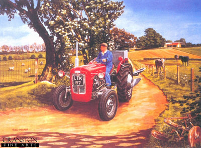 Red Ferguson FE 35 by Trevor Mitchell.