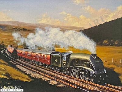 Mallard at Cockburns Path by Barry Price.