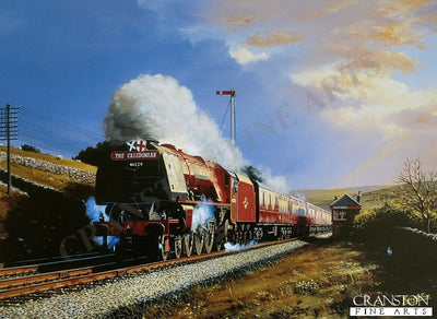 Duchess of Hamilton by Barry Price.