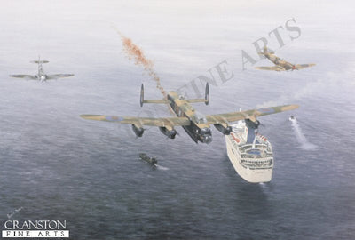 60th Anniversary D-Day Poppy Drop by Robin Smith.
