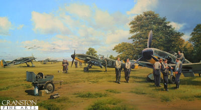 Eagles on the Channel Front by Robert Taylor.