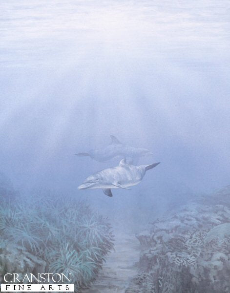 Dolphins by Fraser Shaw.