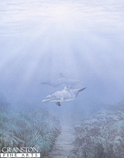 Dolphins by Fraser Shaw.