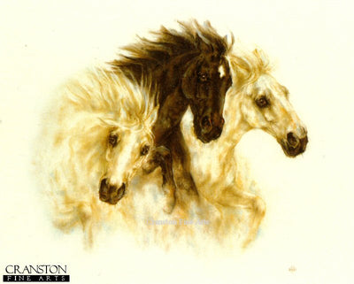 Horses by Nikki