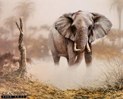 Elephant in the Dust by Spencer Hodge
