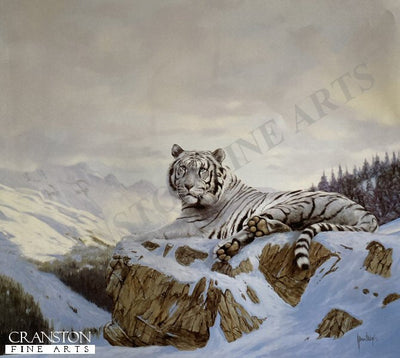 Siberian Tiger by Spencer Hodge