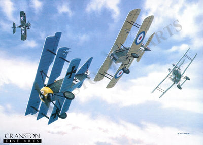 Magnificent Courage by Stan Stokes.