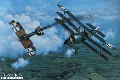 Royal Navy Ace by Stan Stokes.