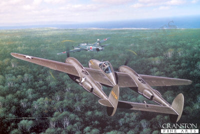Yamamoto's Last Flight by Stan Stokes.
