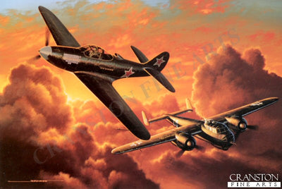 The Forgotten Fighter by Stan Stokes.