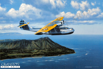 Wings Over Waikiki by Stan Stokes.