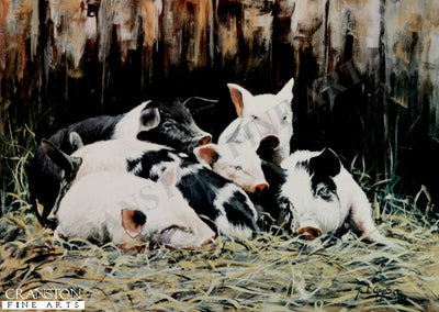 Piggy Bundle by Paul Apps.