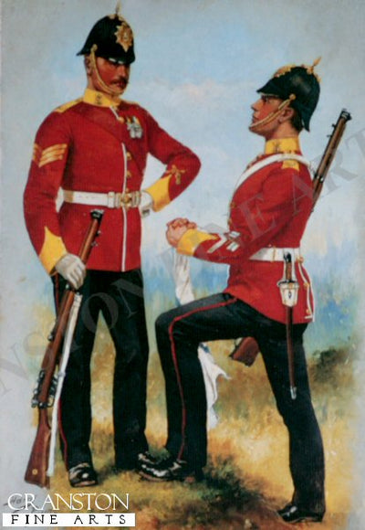 Norfolk Regiment by Harry Payne.