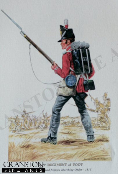 33rd Regiment of Foot 1815 by Douglas Anderson