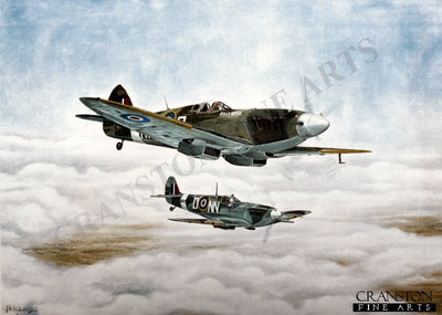 Duxford and Shuttleworth by John Wincentzen.