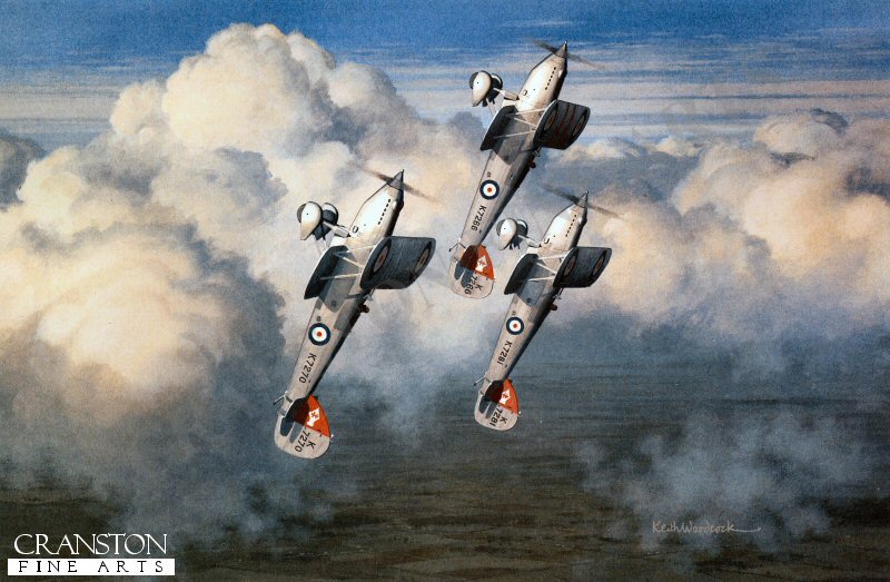 Hawker Fury IIs of 41 Sqn RAF by Keith Woodcock.