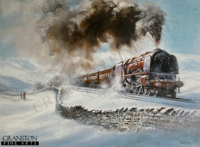 Princess Alice by David Weston.