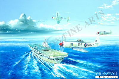Fly Past by Randall Wilson. [Postcard]