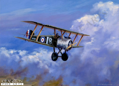Homeward Bound - Sopwith Camel by David Pentland. [Postcard]