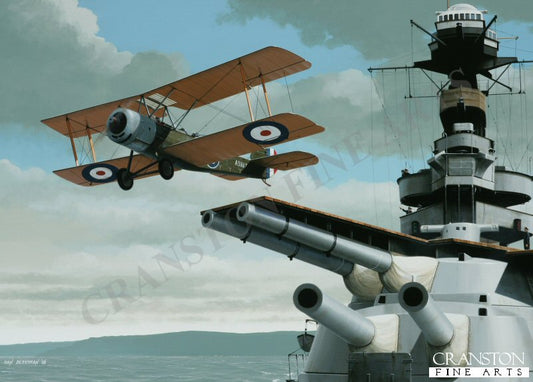 Sopwith 1 ½ Strutter by Ivan Berryman [Postcard]